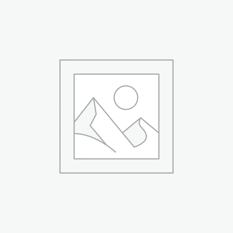 Bulk Posters